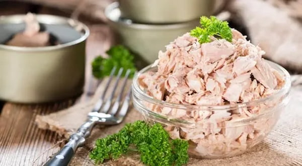 تصویر 2 از قیمت خرید  تن ماهی مکنزی + فروش ویژه